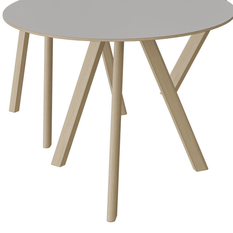Cph 20 Round Table 3D model_3