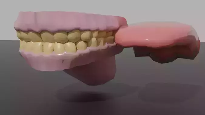Teeth and tongue 