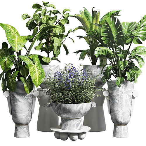 collection Indoor plant 87 vase marble pot flower plam plant 3D model