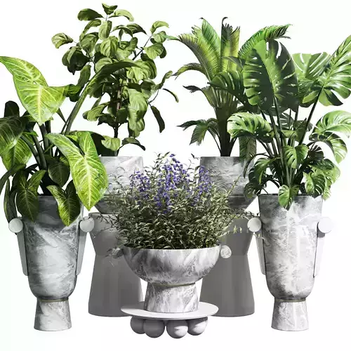 collection Indoor plant 87 vase marble pot flower plam plant