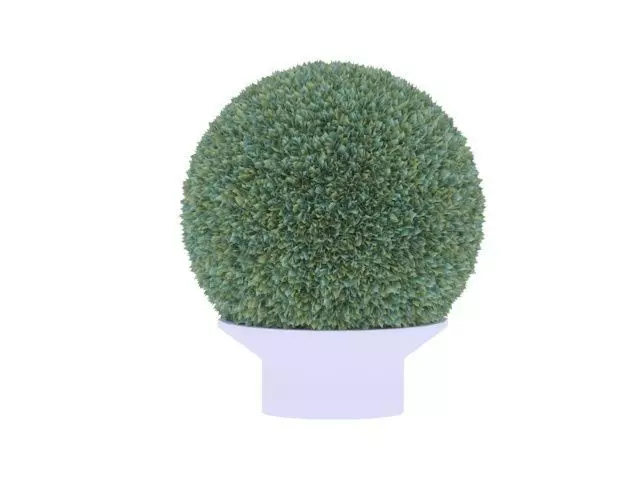 Leaves in a ball Free 3D model