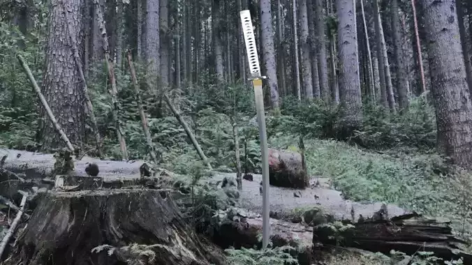 Samurai white katana