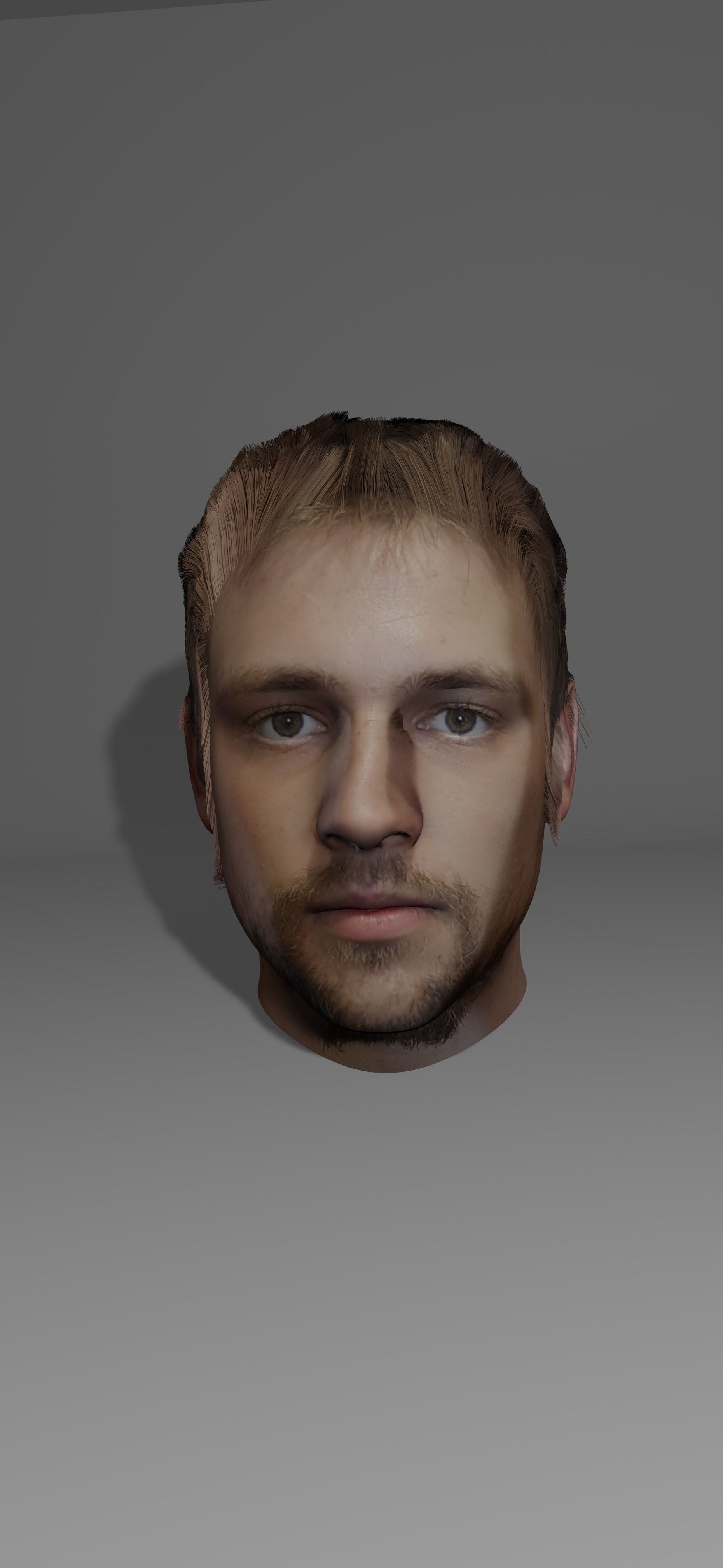 Portrait  3D model_3