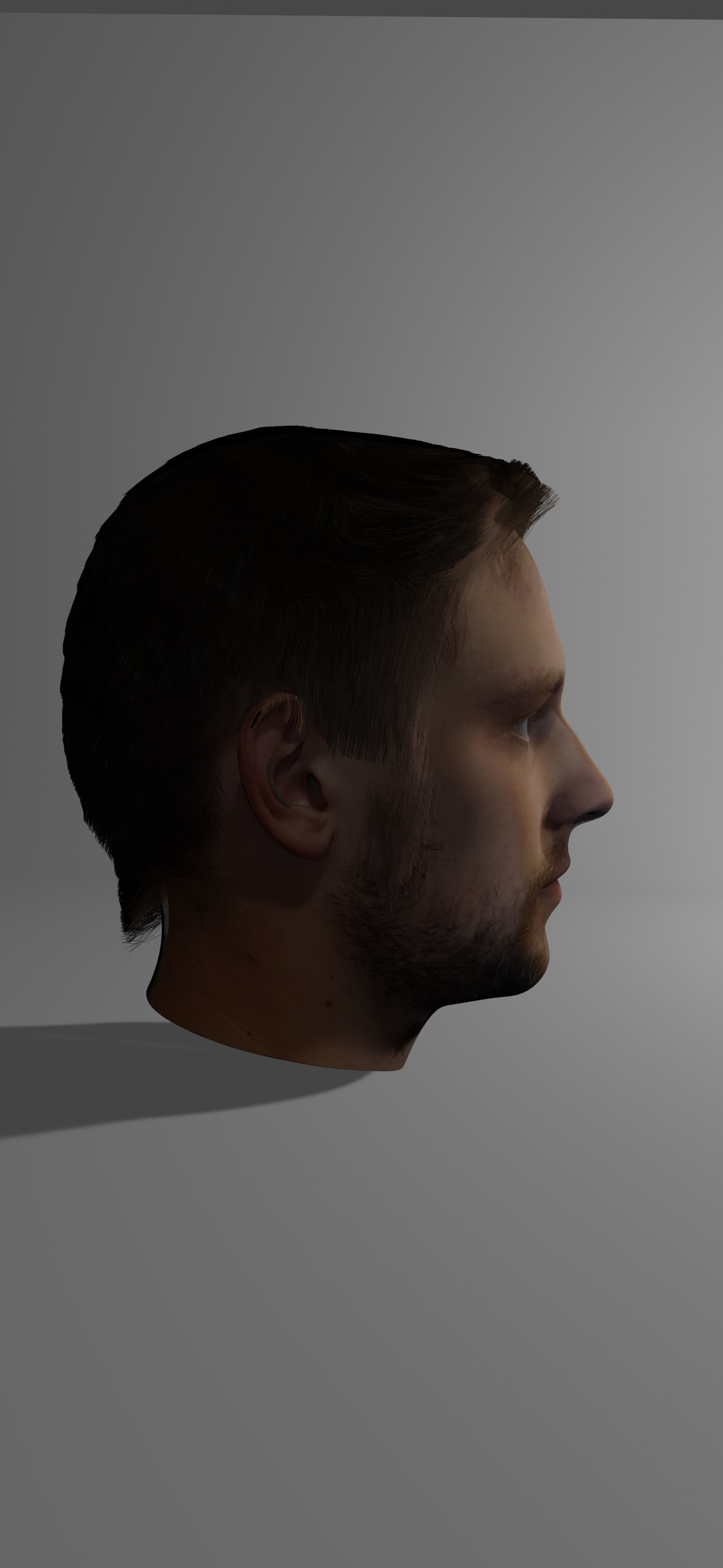 Portrait  3D model_4