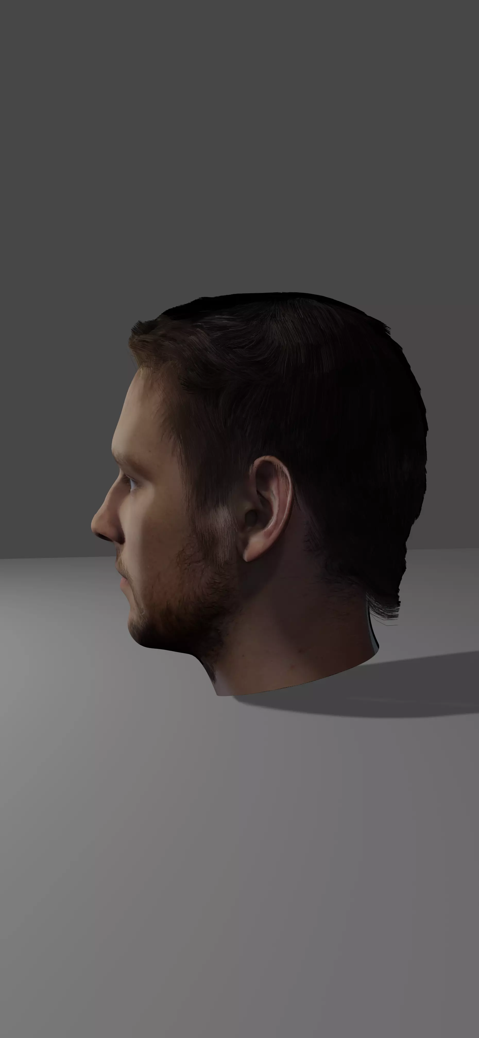 Portrait  3D model_0