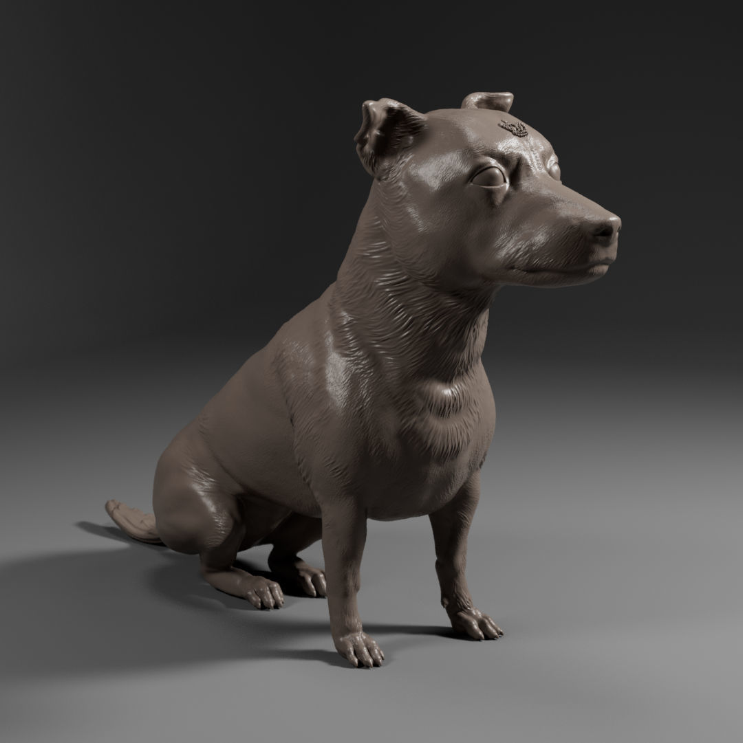 Pitbull - Dog Pet 01 3D print model_11