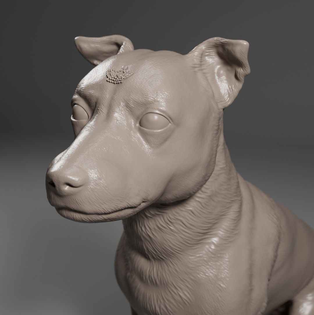 Pitbull - Dog Pet 01 3D print model_12