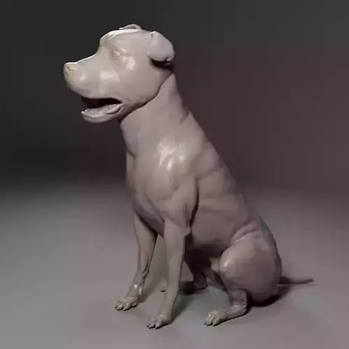 Pitbull - Dog Pet 01 3D print model