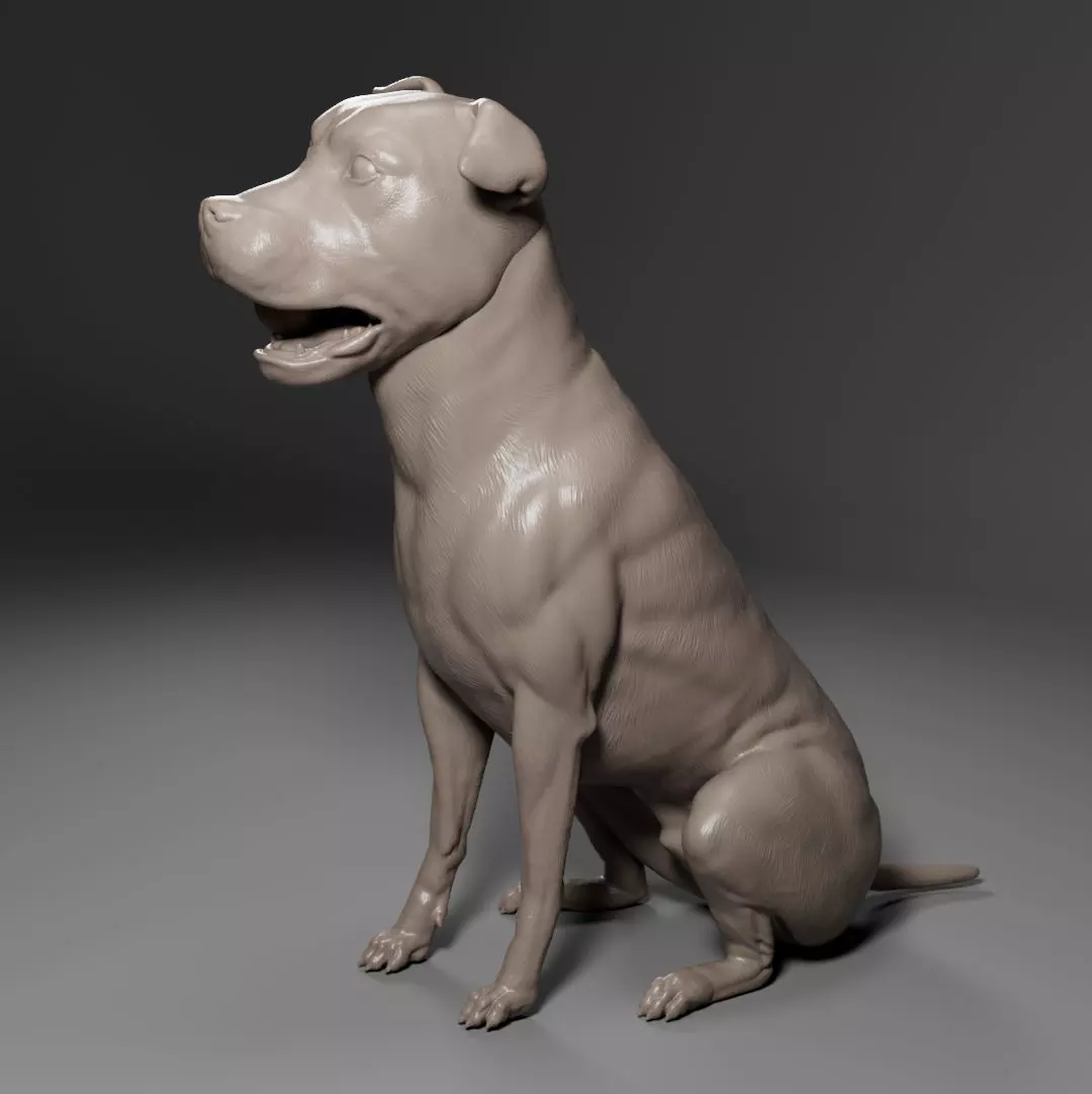 Pitbull - Dog Pet 01 3D print model_0