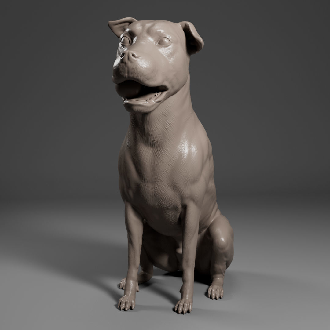 Pitbull - Dog Pet 01 3D print model_2