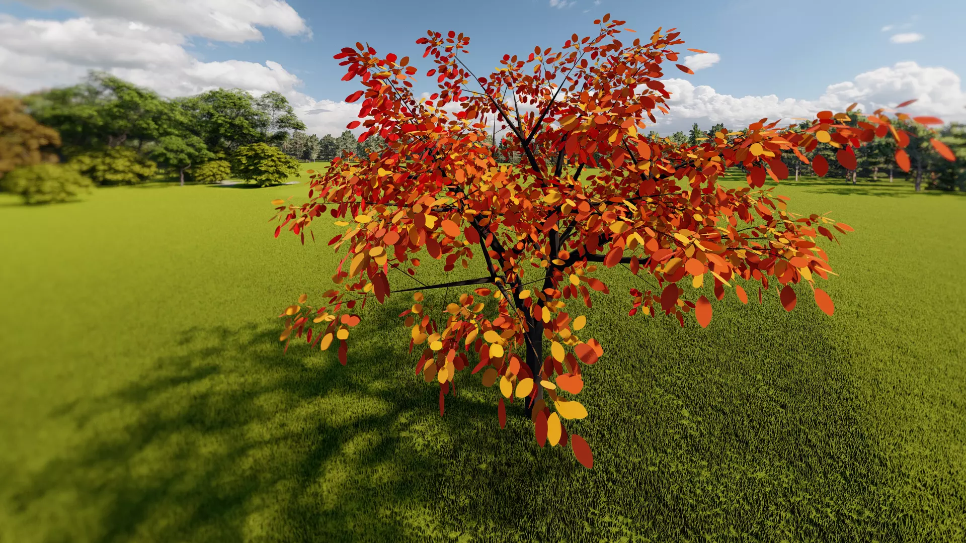 tree orange red Free 3D model