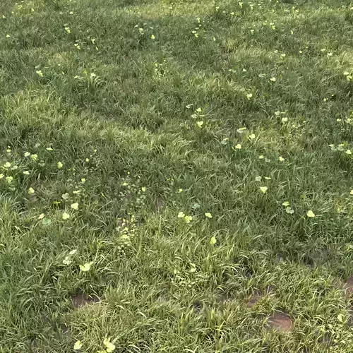 grass for landscape 10 with corona scatter