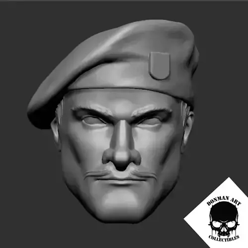 The Expert head for 6 inch action figures 3D print model