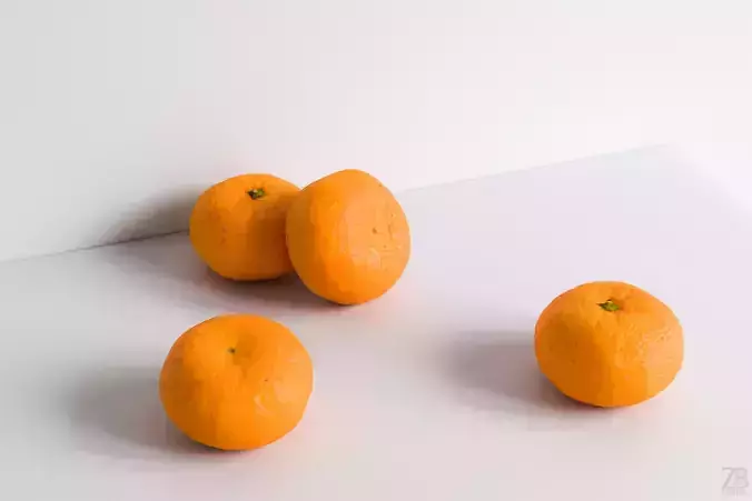 Satsuma 3D model