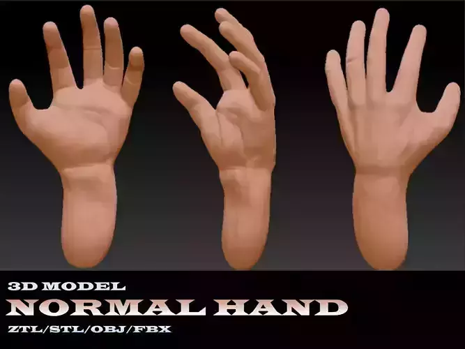 Normal Hand