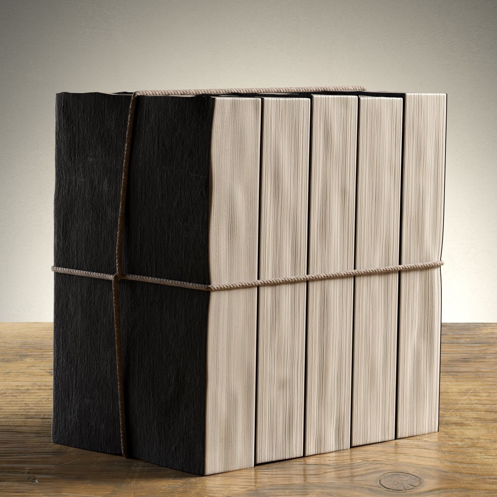 Parchment Petite Tomes 2 3D model_1