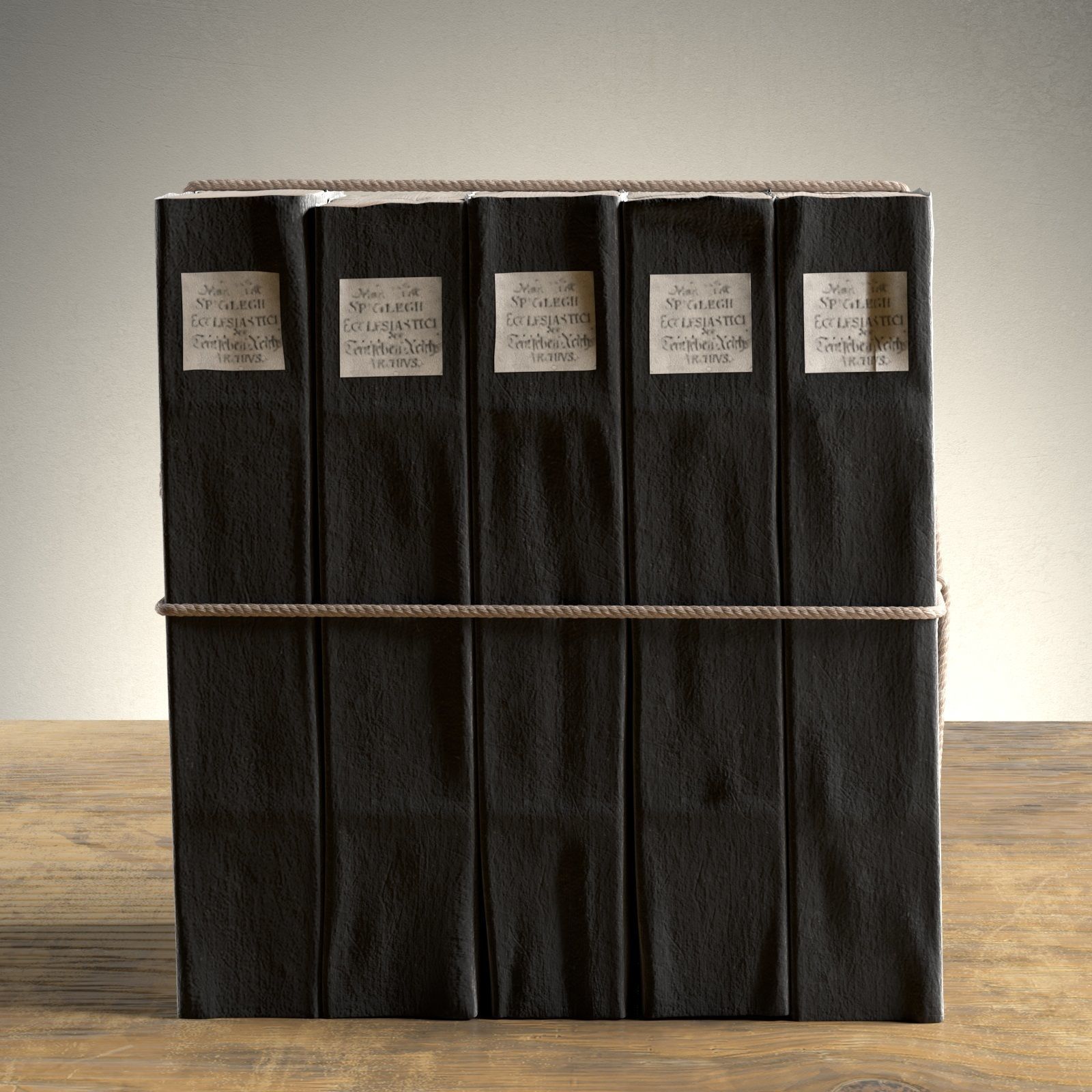 Parchment Petite Tomes 2 3D model_2