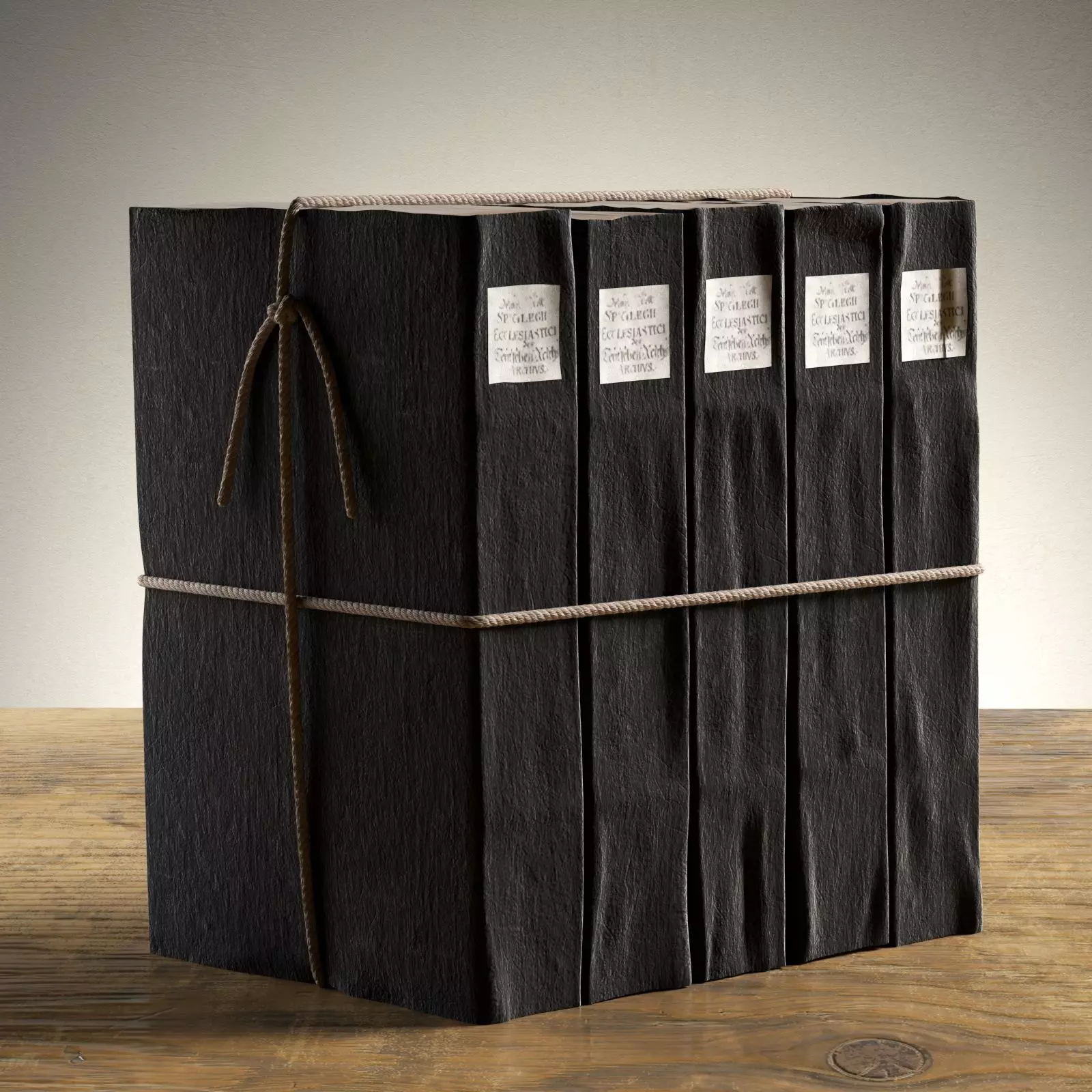 Parchment Petite Tomes 2 3D model_0