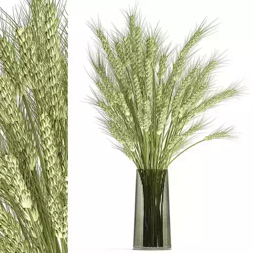 Decorative bouquet of wheat ears in a vase for decor 125