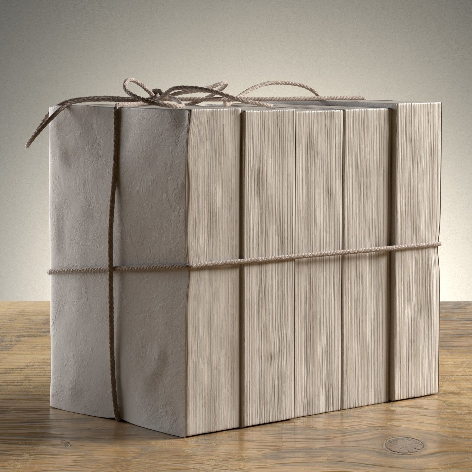 Parchment Petite Tomes 3 3D model_1