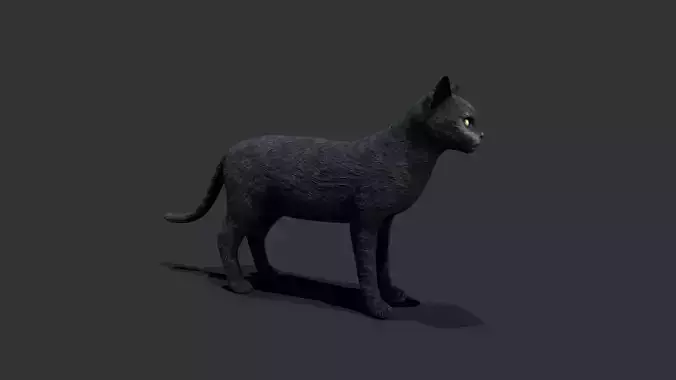 Cat grey lowpoly