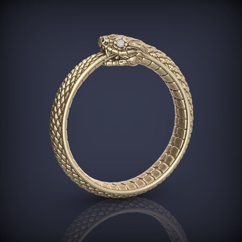 Snake Ouroboros  Jewelry Ring 3d print model 2 3D print model_0