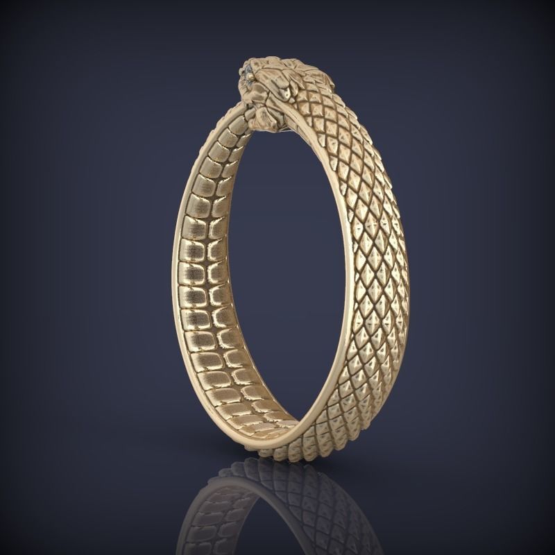 Snake Ouroboros  Jewelry Ring 3d print model 2 3D print model_7