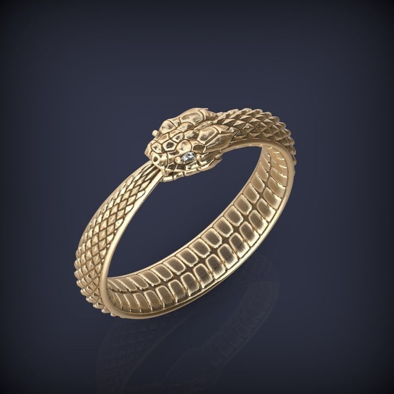 Snake Ouroboros  Jewelry Ring 3d print model 2 3D print model_3