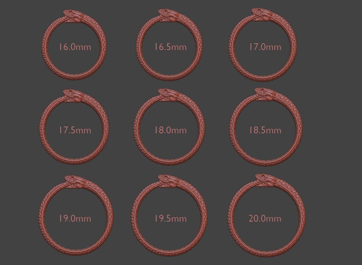 Snake Ouroboros  Jewelry Ring 3d print model 2 3D print model_2