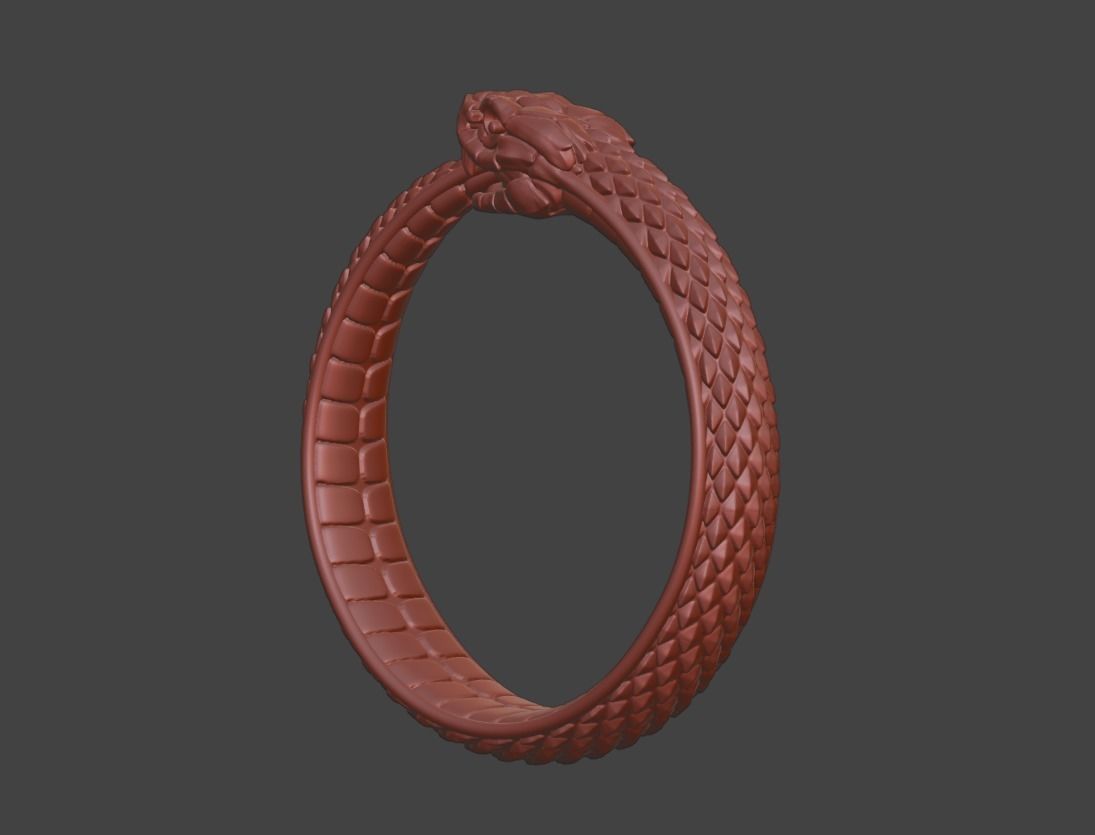 Snake Ouroboros  Jewelry Ring 3d print model 2 3D print model_11