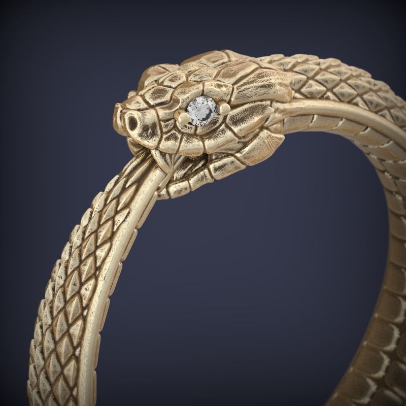 Snake Ouroboros  Jewelry Ring 3d print model 2 3D print model_1