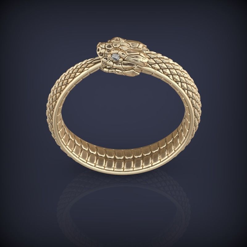 Snake Ouroboros  Jewelry Ring 3d print model 2 3D print model_5
