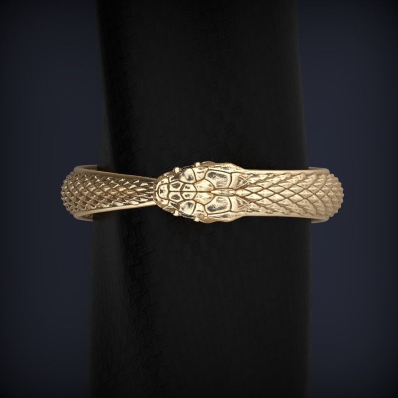 Snake Ouroboros  Jewelry Ring 3d print model 2 3D print model_4