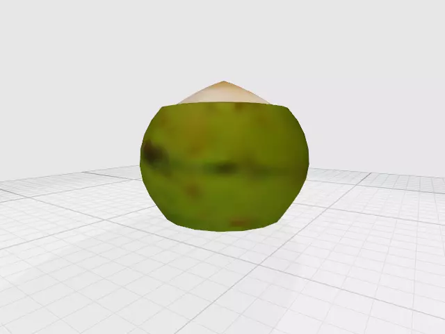 coconut Free 3D model_0