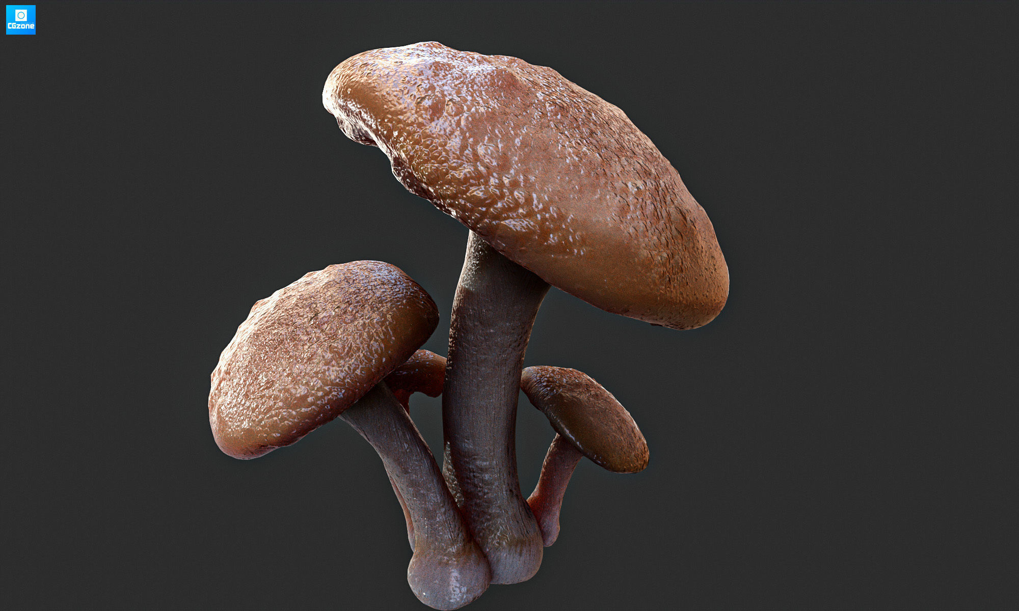 Magic mushroom Low-poly 3D model_8