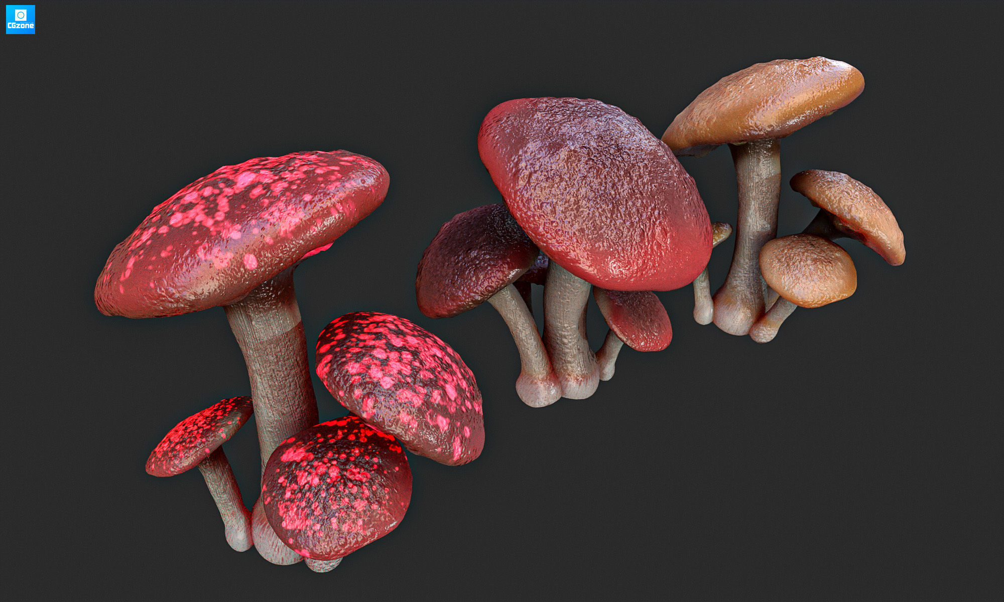 Magic mushroom Low-poly 3D model_4