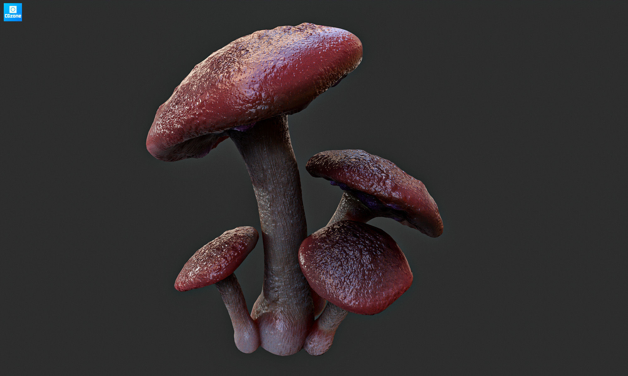 Magic mushroom Low-poly 3D model_7