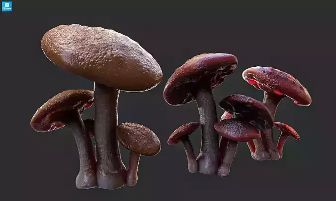 Magic mushroom Low-poly 3D model
