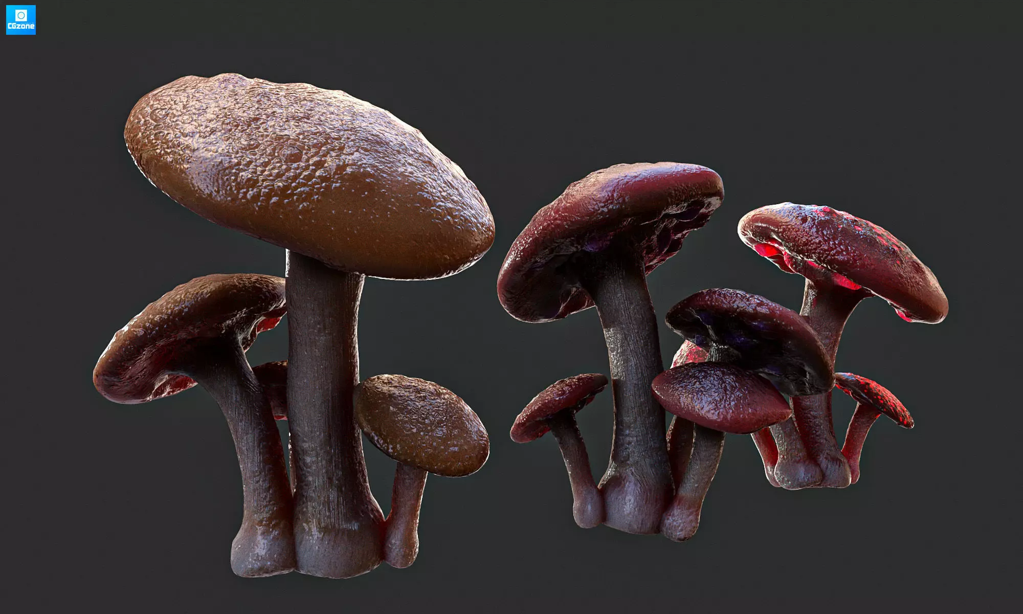 Magic mushroom Low-poly 3D model_0