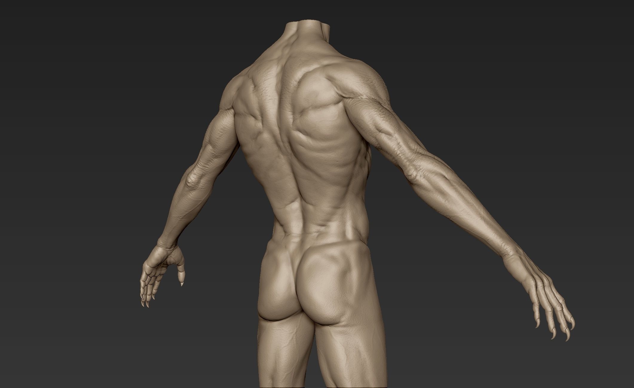 Creature Body Sculpt 1 3D model_7