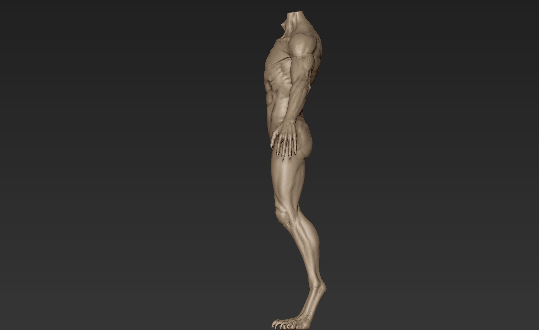 Creature Body Sculpt 1 3D model_4