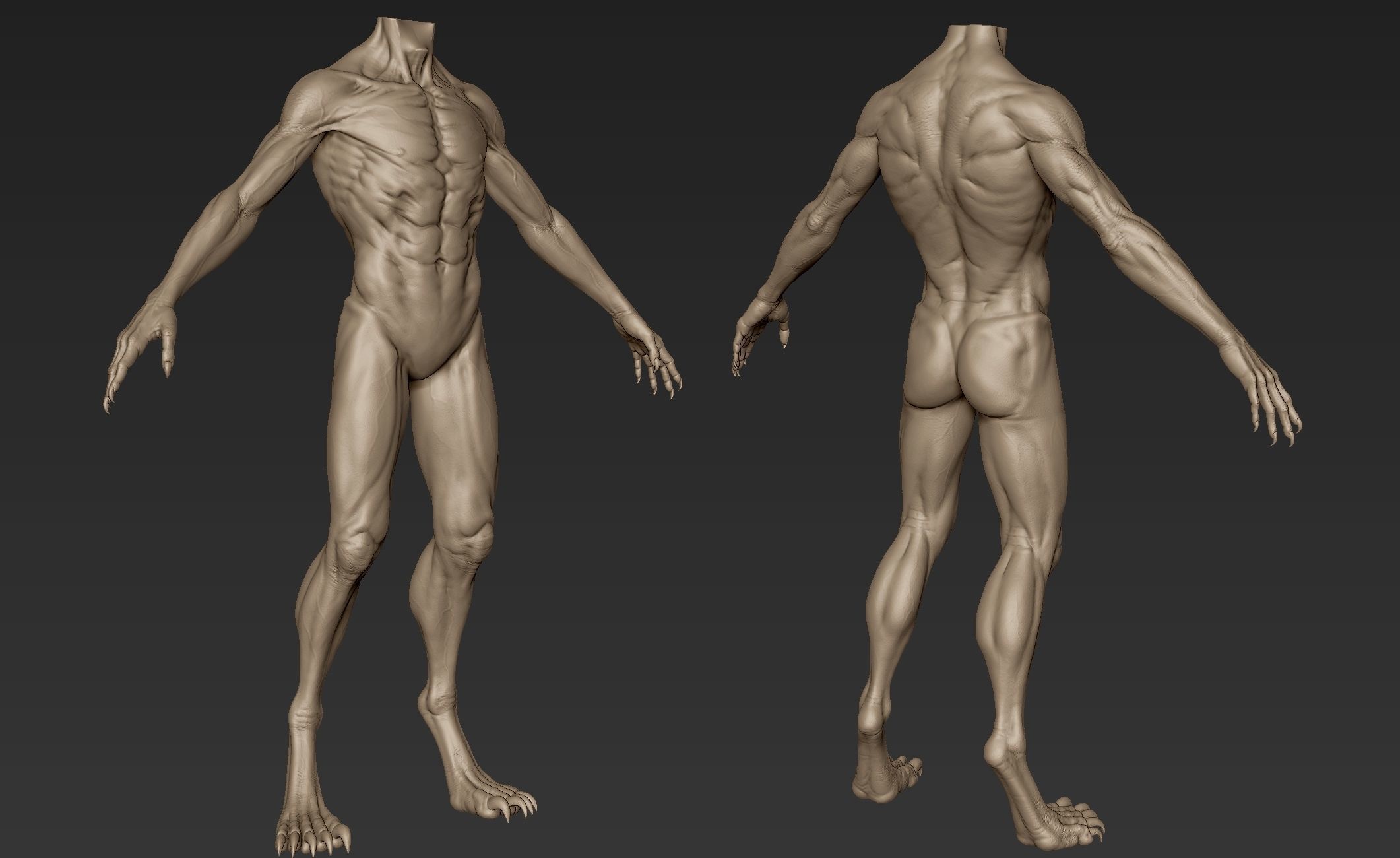 Creature Body Sculpt 1 3D model_11
