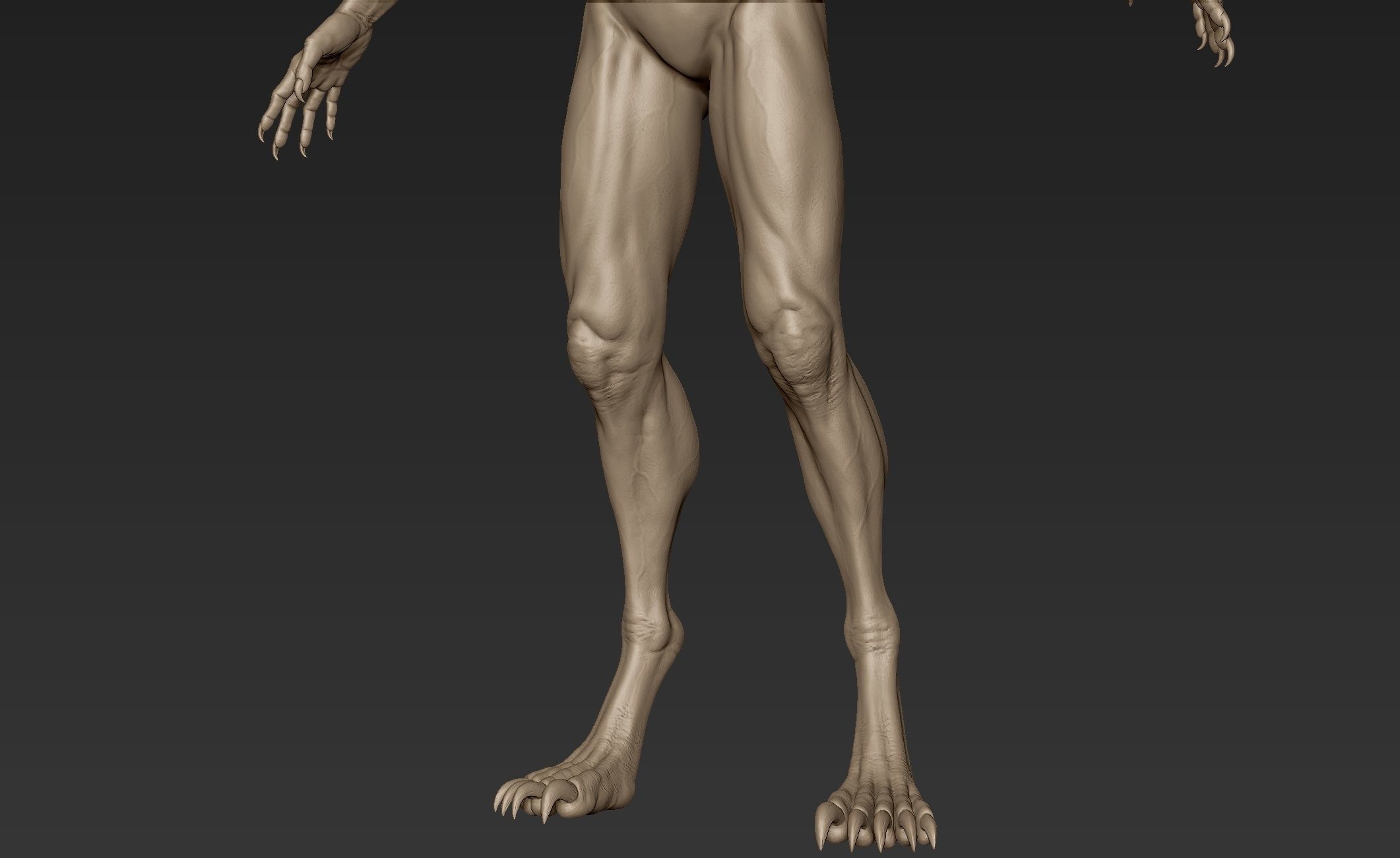 Creature Body Sculpt 1 3D model_10