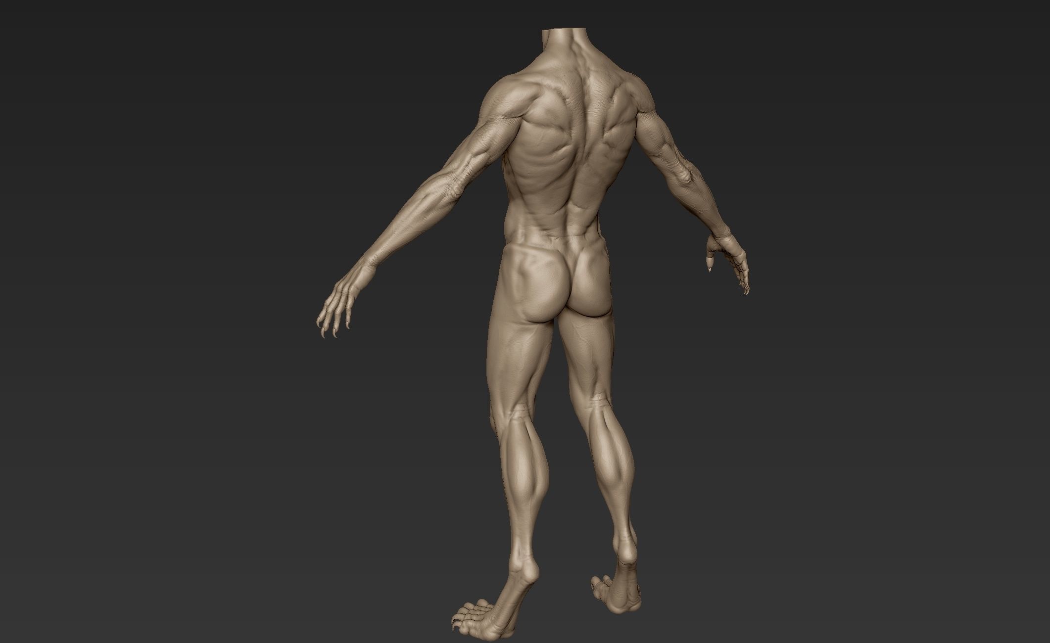 Creature Body Sculpt 1 3D model_5