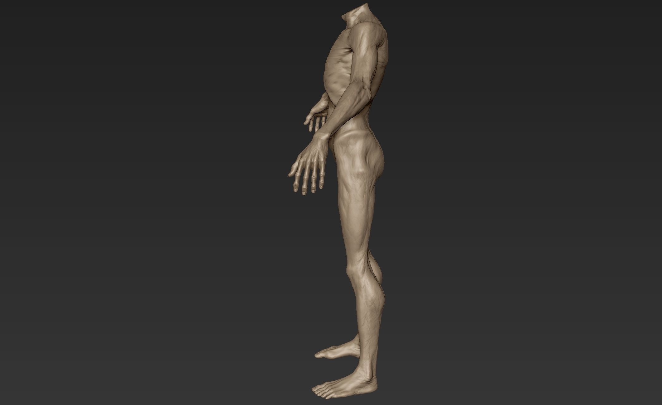 Creature Body Sculpt 2 3D model_5