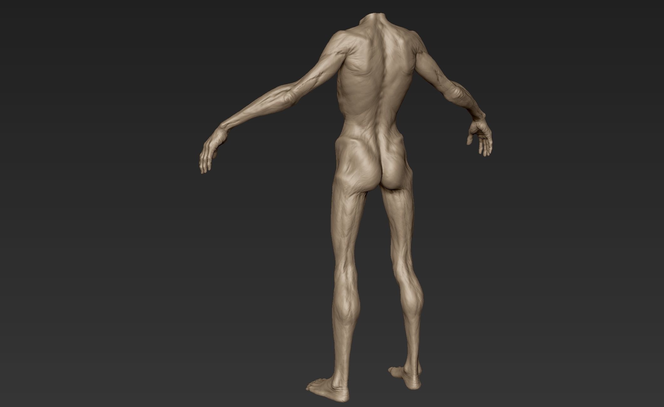 Creature Body Sculpt 2 3D model_6