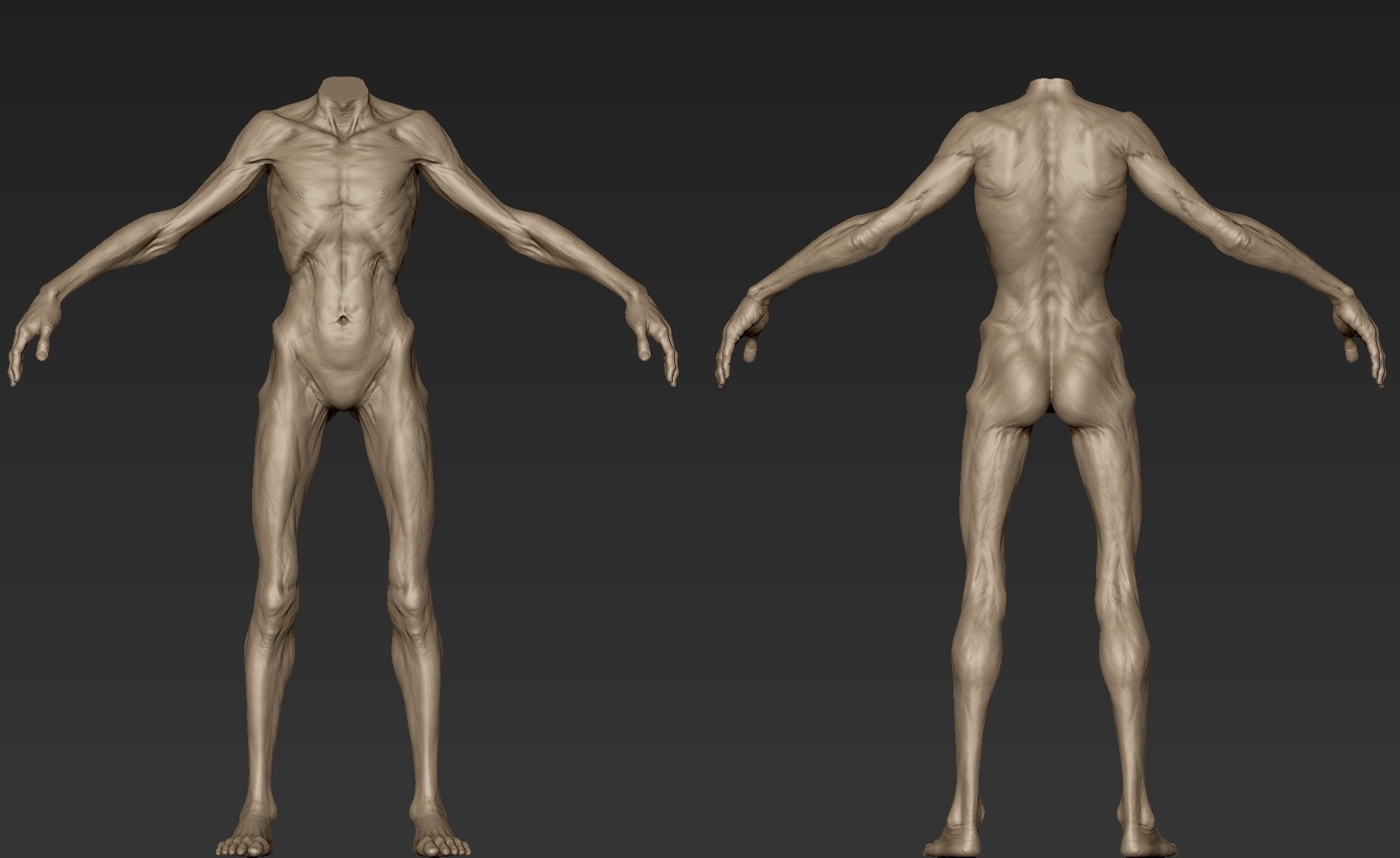Creature Body Sculpt 2 3D model_11