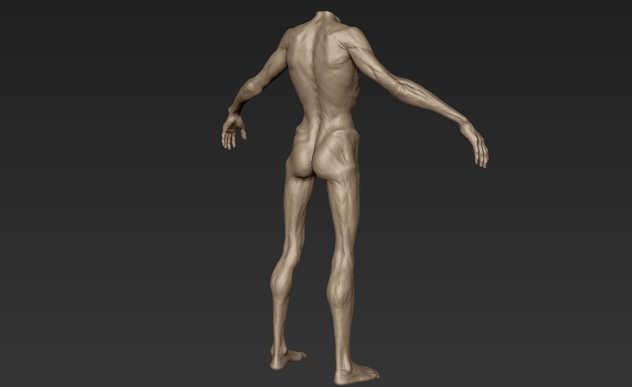 Creature Body Sculpt 2 3D model_8