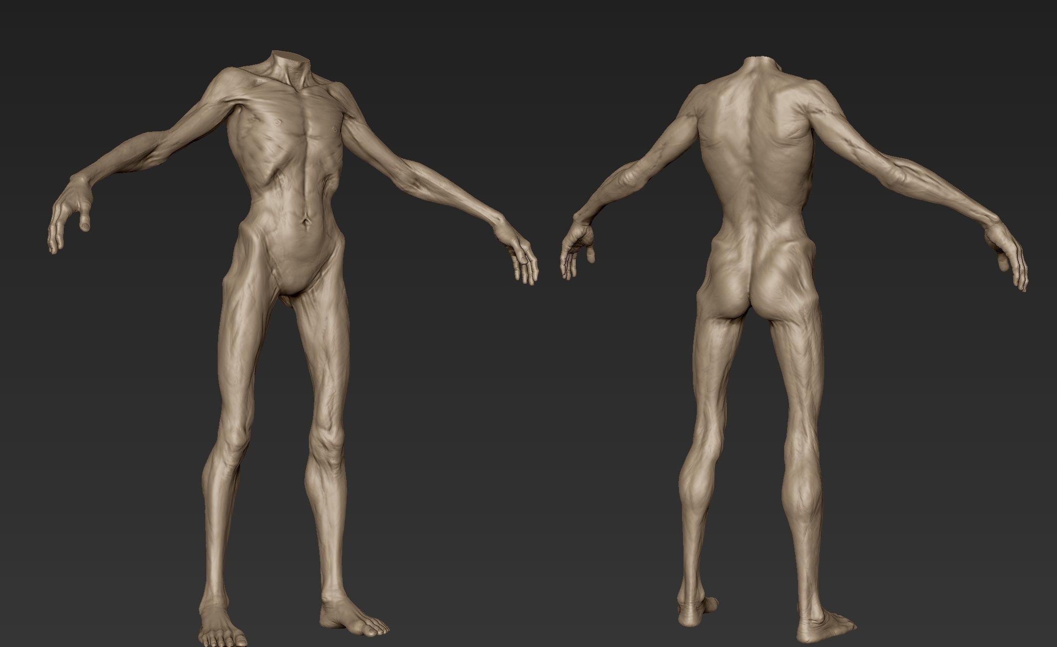 Creature Body Sculpt 2 3D model_1
