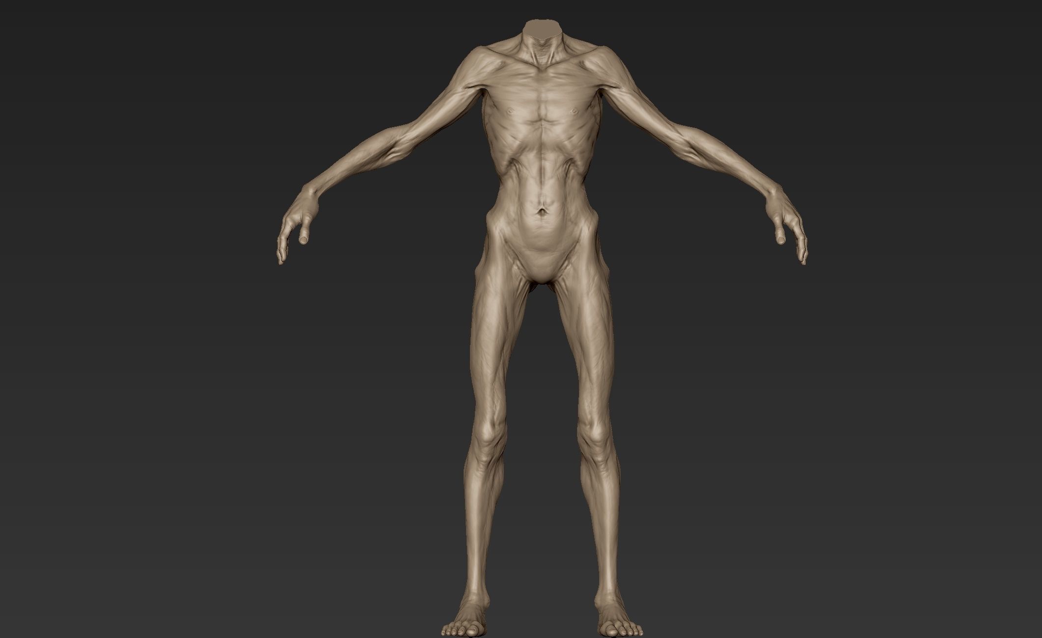 Creature Body Sculpt 2 3D model_2